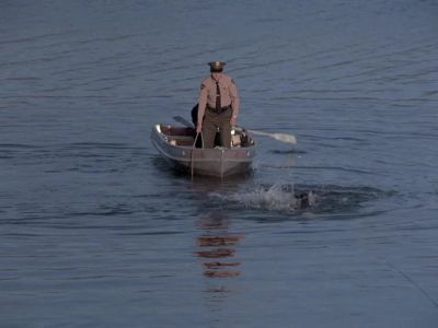 One L-10, MPs have been notifled - Columbo