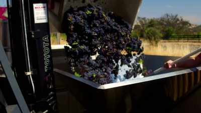 I was one of the first
five wineries that moved in - Tin City