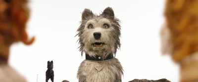 I only ask
for what I've always had: - Isle of Dogs