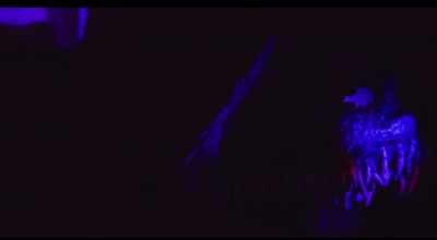 I only know what I can see and
I can only see through those - The Lonely Man with the Ghost Machine