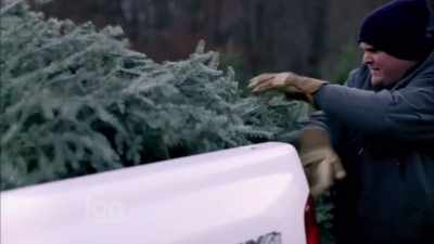 I only wish that when I followed mine, - The Spruces and the Pines