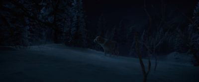 Out here,
under an open sky... - The Call of the Wild
