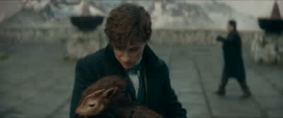 - -Right, in you pop. - Fantastic Beasts: The Secrets of Dumbledore