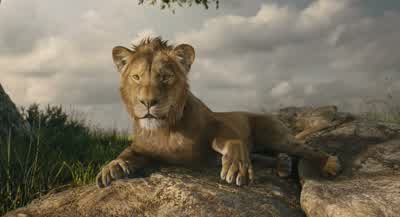 I owe you a great debt, Mufasa. - Mufasa: The Lion King