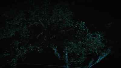 (owl hooting) - The Leftovers