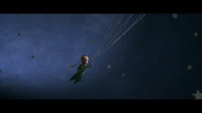 I own the stars... - The Little Prince