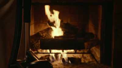 I had people checking in
to units that weren't clean, - Adult Swim Yule Log 2: Branchin' Out