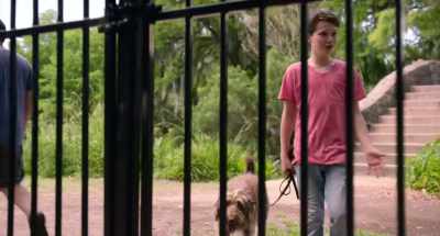 I pretend to throw.
You run, stop, walk in circles. - Think Like a Dog