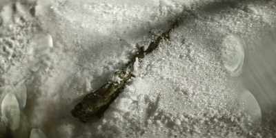 I produced the club
as a possible murder weapon, - The Murders at Starved Rock