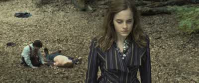 Protego Totalum. Salvio Hexia. What are you doing? - Harry Potter and the Deathly Hallows: Part 1