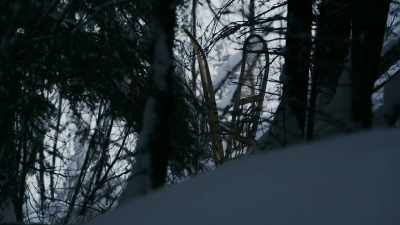 I put in really good effort, - Life Below Zero: First Alaskans