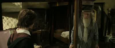 I put you in terrible danger this year, Harry. - Harry Potter and the Goblet of Fire