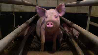 I raised all these concerns and nothing changed. - Pignorant