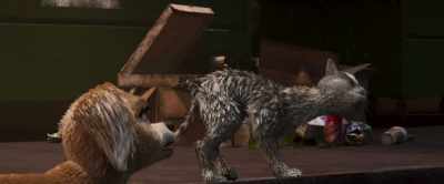 I was ready to growl
first, ask questions later. - Gracie & Pedro: Pets to the Rescue