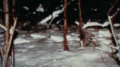 I realized that the
killer marched the boy in - Mastermind: To Think Like a Killer