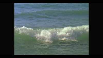 I realized the waves
were just high enough - I'll Be Gone in the Dark