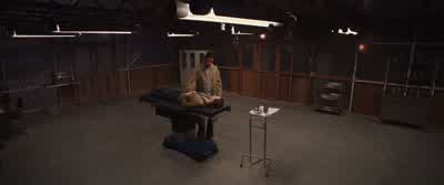 I really can't talk you out of it? - The Host