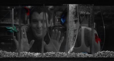 I really dig the colors - Rumble Fish