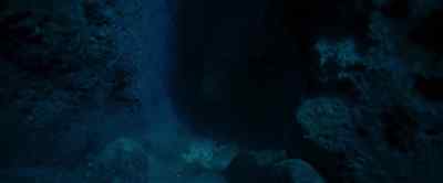 I really do. - The Dive