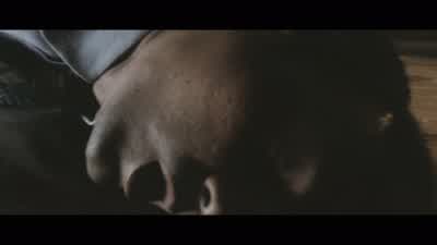 I really don't know where he is. - Ip Man