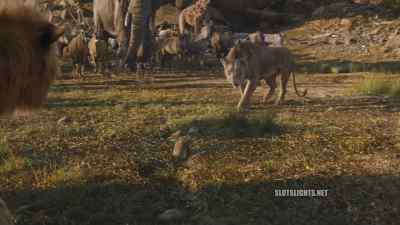 I really hope this makes us even. - Mufasa: The Lion King
