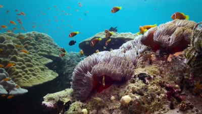 I was really interested
in the natural world, - A Year on Planet Earth