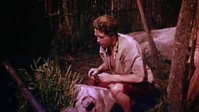        I recalled a grass
         I had observed - Robinson Crusoe