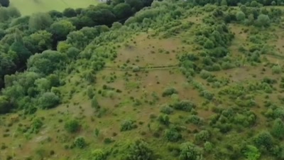 I received a call from the search
advisor that they'd made - Killers: Caught on Camera