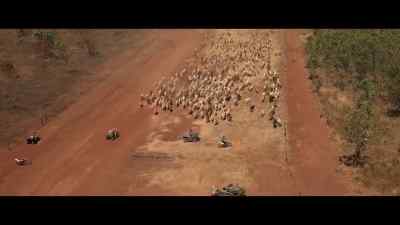 I reckon there's about
4,000 head in this paddock. - Territory