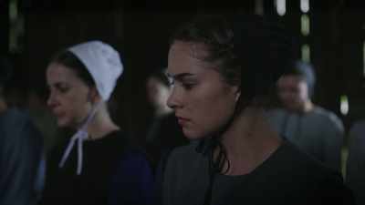            I recognize
      the error of my ways - An Amish Sin