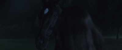I recognized it because I still had
nightmares about losing my family. - Black Beauty