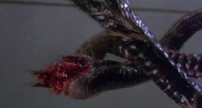 I recommend - Hellbound: Hellraiser II