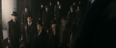 I refuse to bow down any longer. - Fantastic Beasts and Where to Find Them
