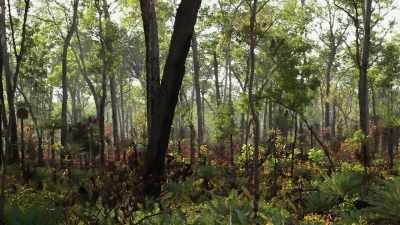 I remember being in the bush,
wandering around with my father, - My Name Is Gulpilil