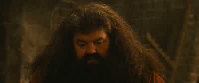 I remember every wand I've ever sold, Mr. - Harry Potter and the Philosopher's Stone