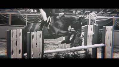 I remember him
competing against my horse. - Bad Sport