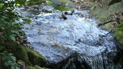I remember I stopped
at a stream, - True Terror with Robert Englund