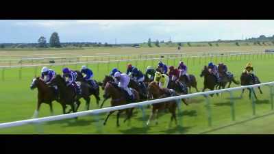 I remember in
the Qipco 2000 Guineas, - Horsepower