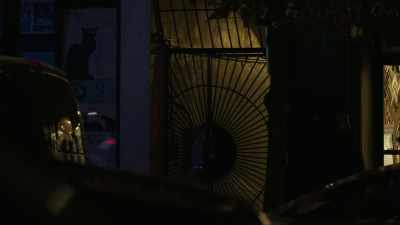 I remember they interviewed
one of her neighbors - New York Homicide