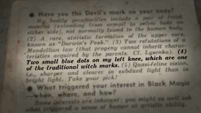I remember noticing them the
year we arrived in Australia." - The Witch of Kings Cross