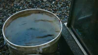 I remember on the bus ride
from Cork to West Cork, - Sophie: A Murder in West Cork