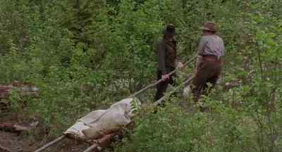 I remember the good old days
when dogs used to pull men. - White Fang
