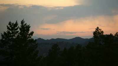 I remember walking
into the back bedroom, - Bob Ross: Happy Accidents, Betrayal & Greed