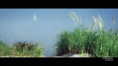 I remember it was
a beautiful day. - Lady of the Dunes: Hunting the Cape Cod Killer