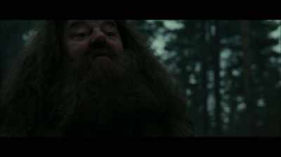 - I remember
when I first met you all-- - Harry Potter 20th Anniversary: Return to Hogwarts
