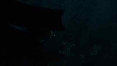 I renounce th...! - The Condemned