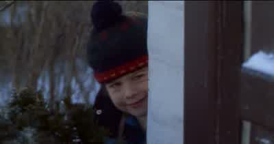 I repeat, there is no movement inside. - Home Alone 3