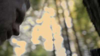  I reviewed the first trail c
 and there was
 nothing on there. - Expedition Bigfoot