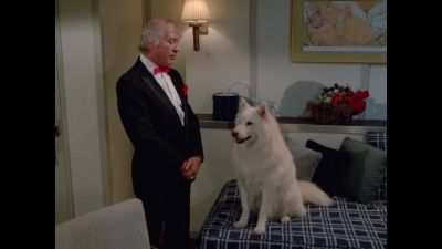 I was right.
You are a dog. - The Love Boat