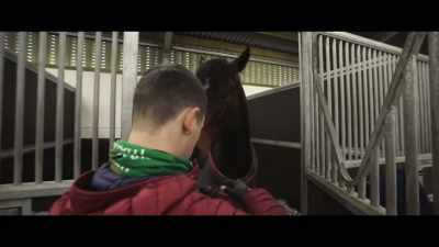 I rode him first time out when
he was placed at Newmarket. - Horsepower